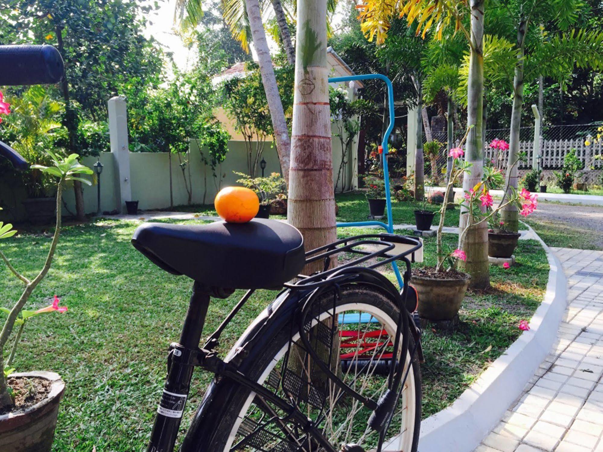 Peacock Guest house Mirissa
